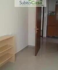 Appartamento in Affitto a 205