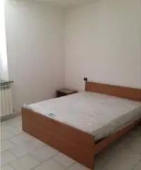 Piacenza Affitto Appartamento