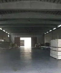 Capannone zona paip 1