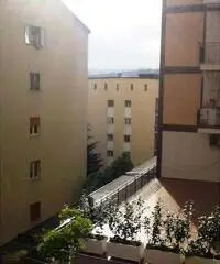 Appartamento in Affitto 150mq