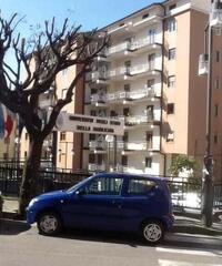 Locale commerciale in Affitto a 330
