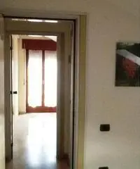 Potenza Affitto Appartamento Potenza Affitto Appartamento