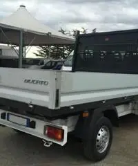 Fiat Ducato 33 LH1  2.3 MJT  6 +1 CON CASSONE