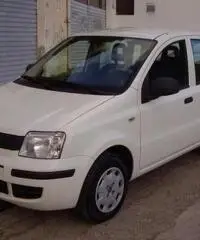 FIAT Panda 1.2 Active rif. 7196879