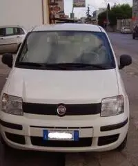 FIAT Panda 1.2 Active rif. 7196879