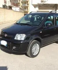 Fiat Panda 1.2 Climbing Natural Power