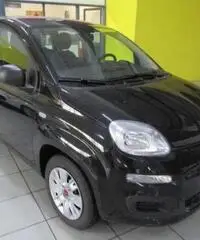 FIAT Panda 1.2 Easy rif. 7196249 FIAT Panda 1.2 Easy rif. 7196249