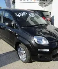 FIAT Panda 1.2 EasyPower Easy rif. 7193107 FIAT Panda 1.2 EasyPower Easy rif. 7193107