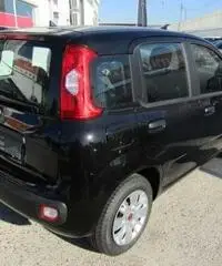 FIAT Panda 1.2 EasyPower Easy rif. 7193107 FIAT Panda 1.2 EasyPower Easy rif. 7193107