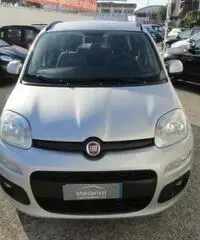 FIAT Panda 1.2 Lounge rif. 7193105 FIAT Panda 1.2 Lounge rif. 7193105