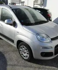 FIAT Panda 1.2 Lounge rif. 7193105 FIAT Panda 1.2 Lounge rif. 7193105