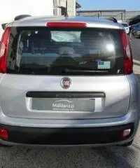 FIAT Panda 1.2 Lounge rif. 7193105 FIAT Panda 1.2 Lounge rif. 7193105