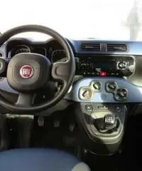 FIAT Panda 1.2 Lounge rif. 7193105 FIAT Panda 1.2 Lounge rif. 7193105