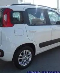FIAT Panda 1.2 Lounge rif. 5665753