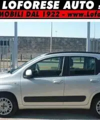 FIAT Panda 1.2 Lounge UNICO PROPRIETARIO rif. 7195736 FIAT Panda 1.2 Lounge UNICO PROPRIETARIO rif. 7195736