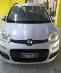 FIAT Panda 1.2 Lounge rif. 7184924 FIAT Panda 1.2 Lounge rif. 7184924