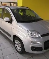 FIAT Panda 1.2 Lounge rif. 7184924 FIAT Panda 1.2 Lounge rif. 7184924