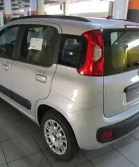FIAT Panda 1.2 Lounge rif. 7184924 FIAT Panda 1.2 Lounge rif. 7184924