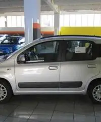 FIAT Panda 1.2 Lounge rif. 7184924 FIAT Panda 1.2 Lounge rif. 7184924