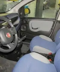 FIAT Panda 1.2 Lounge rif. 7184924 FIAT Panda 1.2 Lounge rif. 7184924