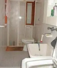 Ampio e luminoso appartamento ristrutturato