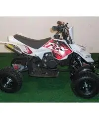 MINIQUAD RAPTOR 49cc R4