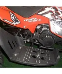 MINIQUAD RAPTOR 49cc R4