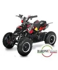 Miniquad Raptor Big 50cc R6 Miniquad Raptor Big 50cc R6