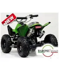 Miniquad Raptor Big 50cc E-Start R6 Miniquad Raptor Big 50cc E-Start R6