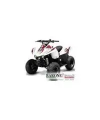 New Quad Bamboo 50cc