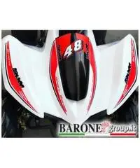 New Quad Bamboo 50cc