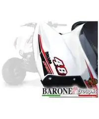 New Quad Bamboo 50cc