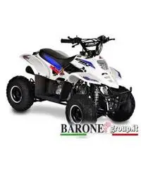 New Quad Bamboo 50cc New Quad Bamboo 50cc