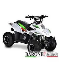 New Quad Bamboo 50cc New Quad Bamboo 50cc