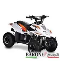 New Quad Bamboo 50cc New Quad Bamboo 50cc
