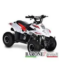 New Quad Bamboo 50cc New Quad Bamboo 50cc