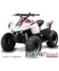 New Quad Lem Big foot 110cc