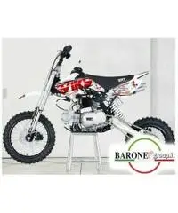 Pit Bike BSE SPORT 125 cc 14 12 Pit Bike BSE SPORT 125 cc 14 12