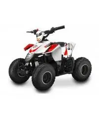QUAD LEM KONDOR BABY 50CC QUAD LEM KONDOR BABY 50CC