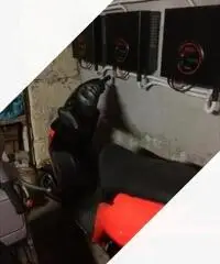 Scooter 50 Scooter 50