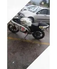 Aprilia RS 50 - 2007 Aprilia RS 50 - 2007