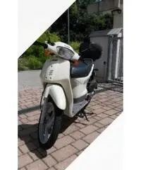 Honda SH 50 - 1997 Honda SH 50 - 1997