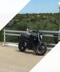 Fz6 s2 Fz6 s2