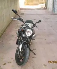 Guzzi Griso 1100 Guzzi Griso 1100