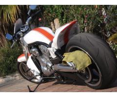 Harley Davidson V-Rod Muscle 1250cc Special Custom Unica