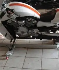 Harley Davidson V-Rod Muscle 1250cc Special Custom Unica