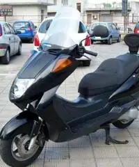 Honda Foresight 250 20CV