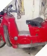 Moto Guzzi Altro modello - Anni 50