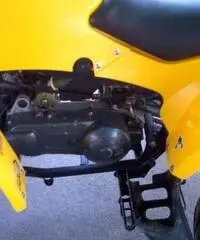 PIAGGIO Porter QUOD 150 TARGATO