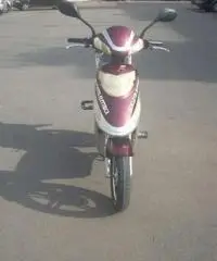 Scooter elettrico Scooter elettrico